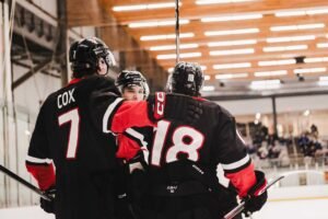 hockey 3
